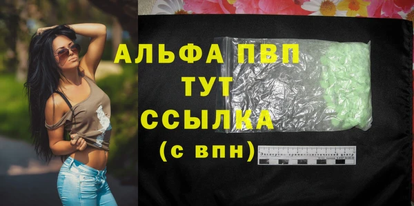 сатива Абинск