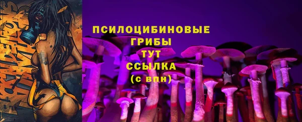 тгк Абаза